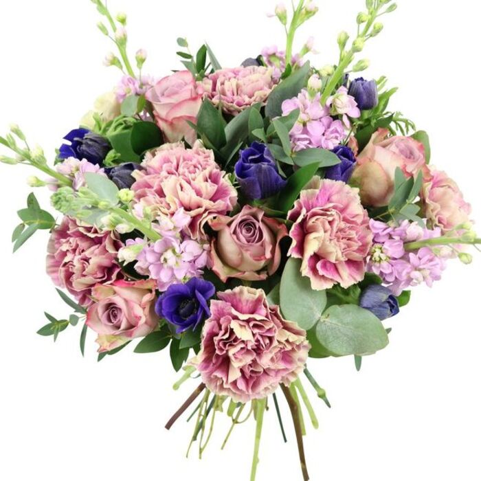 This elegant bouquet is displayed against a plain white background, drawing attention to the careful hand-tied craftsmanship and nuanced colour palette. At the heart of the design, full garden roses unfold in blush pink, dusty mauve, and antique rose, their spiralled petals layered closely together to create a deep, romantic focal area. Around them, numerous frilly carnations add volume and texture, their petals shifting from soft cream and pale blush at the core to richer rose and plum-pink along the rippled edges, giving the impression of gentle, flowing waves. Interspersed through these softer tones are deep indigo-blue flowers, compact and bud-like, that add a bold, jewel-bright counterpoint. A standout open royal blue anemone with a dark, almost black centre sits toward the front, offering a dramatic depth that grounds the composition. Slender stems of lilac and pale lavender stock rise delicately between the larger blooms, their small, clustered flowers lending an airy vertical element and a suggestion of a subtle, sweet scent. Encircling everything is a mix of lush green foliage: broad, dark leaves likely from the roses, and cool, rounded eucalyptus in silvery-green, which softens the silhouette and adds a modern, natural feel. The stems are neatly bound and visible at the base, signalling a freshly arranged hand-tied bouquet, ready to be delivered across Chislehurst, from tree-lined residential streets to charming local cafés. The overall mood is refined yet comforting, with its blend of pinks, purples, blues, and greens making it suitable for weddings, anniversaries, elegant birthday surprises, or thoughtful condolence flowers that bring quiet beauty into any room.
