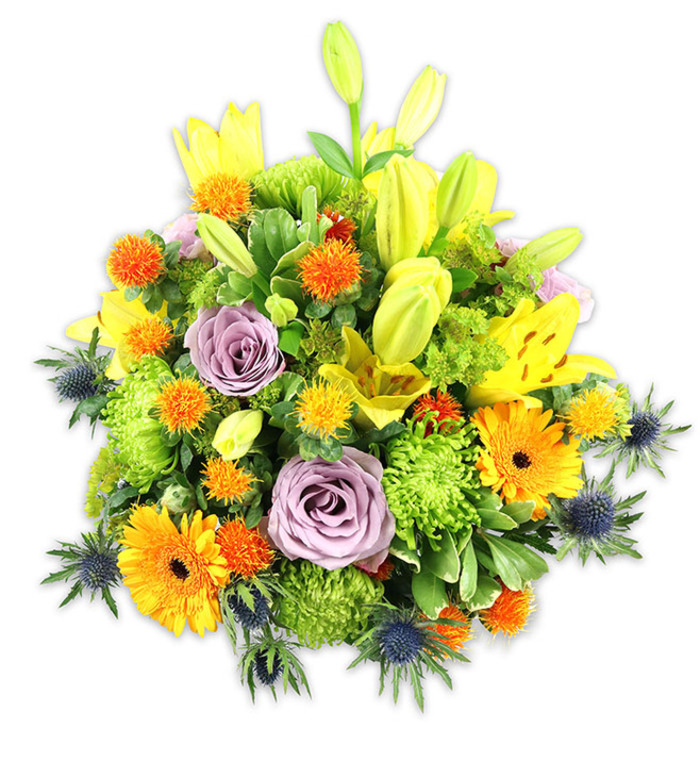 Presented against a stark white field that makes every hue sing, this densely packed floral design blends traditional elegance with rustic, botanical accents in a single, generous mound. Several golden-yellow Asiatic lilies rise above the body of the bouquet, their open faces speckled and slightly fragrant, while elongated yellow buds lend upward motion and a feeling of unfolding. Surrounding these are radiant orange Gerbera daisies whose broad, flat petals radiate like miniature suns; interspersed are small, tactile orange and yellow globe flowers that add lively, poking highlights and an almost celebratory confetti effect. Two or three soft lavender-purple roses sit serenely among the more animated flowers, their velveteen petals gradually unfurling to form calm, spiral cores. Bright chartreuse button chrysanthemums pack the midsection with a textured, sponge-like plushness that amplifies the arrangement's fullness. Cool-toned blue-grey Eryngium thistles extend from the lower flanks with spiny, architectural shapes that temper the warm palette and contribute a contemporary edge. A chorus of greens-long lily leaves, glossy fillers, and smaller textured foliage-binds the composition, providing contrast and visual rest. The studio lighting emphasizes petal translucence and the slightly satiny sheen on leaves, while a subtle, mixed aroma of lilies and roses seems almost perceptible. This bouquet conveys warmth, optimism and quiet refinement, suited for a celebratory table at a Chislehurst gathering, a thinking-of-you gift en route from the High Street florists to homes near the Common, or as a comforting presence in a living room.